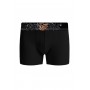 BOXER HARRY JONS SKATE PACK