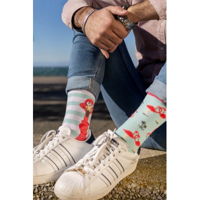 Κάλτσες Unisex Flamingo